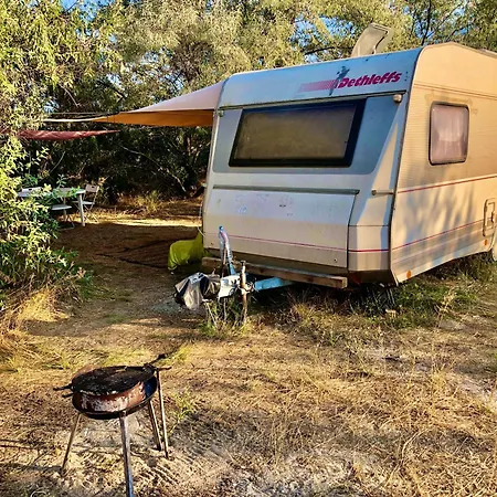 Hotel Caravan On The Beach, Pet Friendly